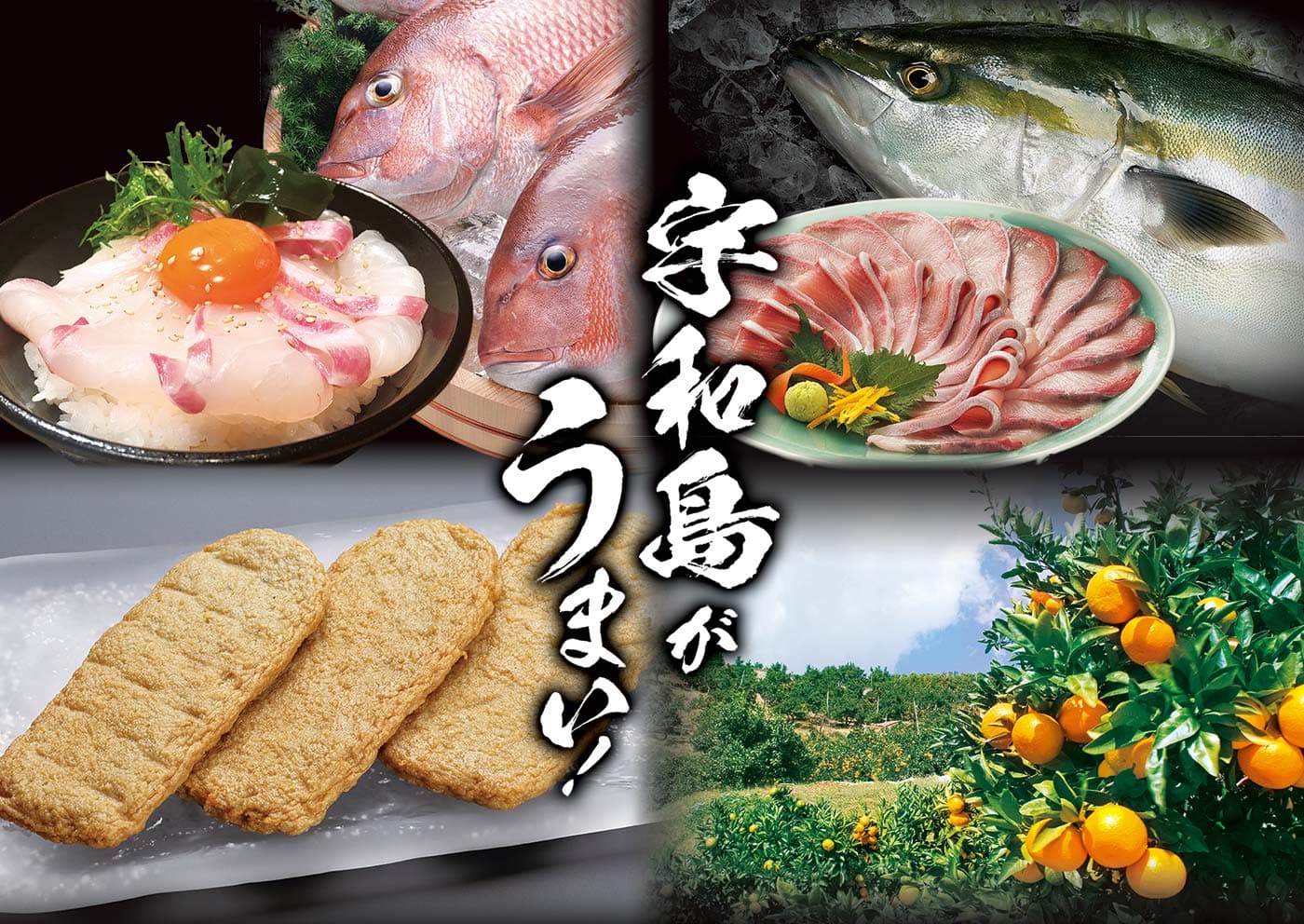 宇和島がうまい